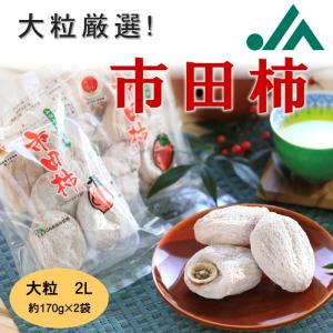 ココ おまとめお買い得価格！長野県産市田柿170g✖︎60パック入り みなみ信州名産 市田柿 （干し柿） L〜2Lサイズ 170g パック 国産