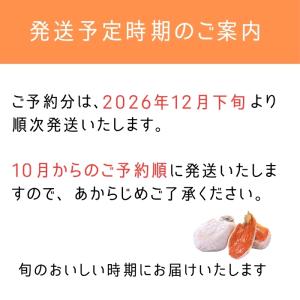 干し柿 市田柿 訳あり バラふぞろい 1kg ...の詳細画像2