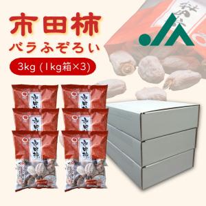干し柿 市田柿 訳あり バラふぞろい 3kg (１kg箱×3箱 ) Y413