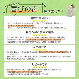 干し柿 市田柿 訳あり バラふぞろい 3kg ...の詳細画像4