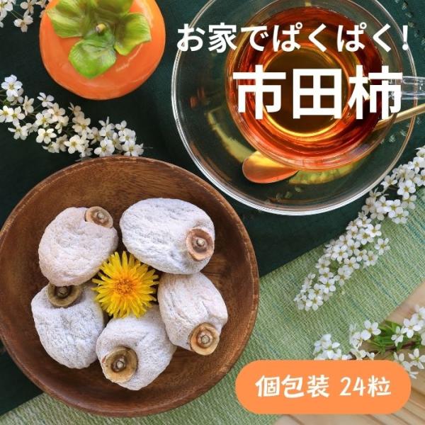 ぱくぱく市田柿 個包装24粒入(約672g）Y416