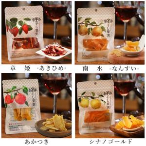 プレミアムドライフルーツ 『干し果実』南信州産...の詳細画像4