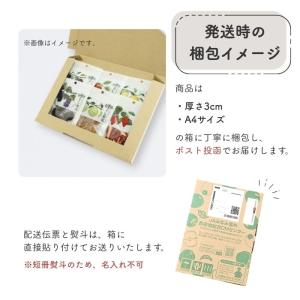 プレミアムドライフルーツ 『干し果実』南信州産...の詳細画像1