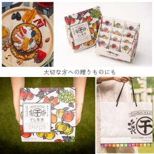 プレミアムドライフルーツ 『干し果実』南信州産...の詳細画像3