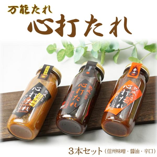 万能たれ 心打たれ Y919（常温）焼肉 グルメ 国産 南信州 サンふじりんご 野菜炒め サラダ 家...