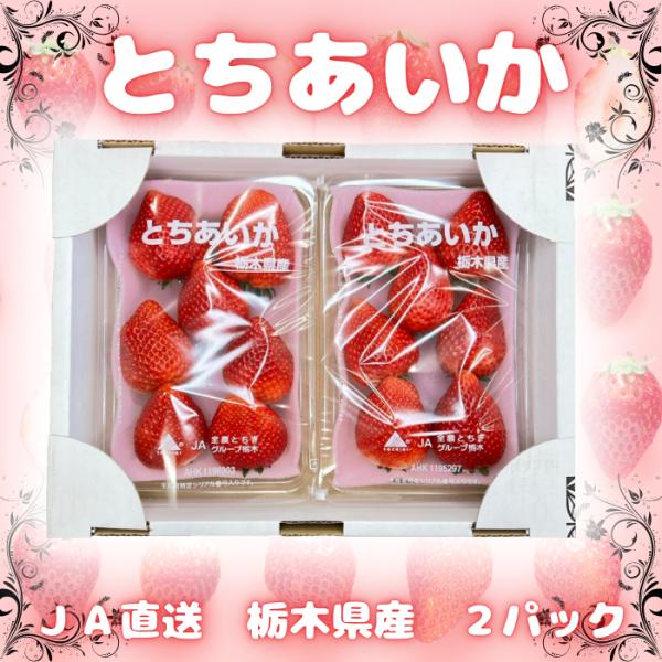 イチゴ いちご 苺 とちあいか 2パック 栃木県産 規格 6〜7粒 1粒40ｇ前後 1パック約290...