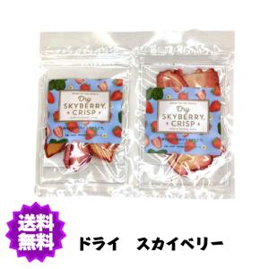 【送料無料】割れ有　スカイベリー ドライフルーツ 15g×２袋入り無添加 無着色｜ja-sano