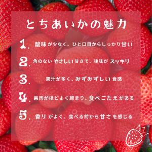 とちあいか 合計約560g 栃木県産 苺 冷蔵...の詳細画像2