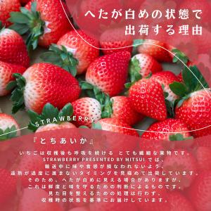 とちあいか 合計約560g 栃木県産 苺 冷蔵...の詳細画像4