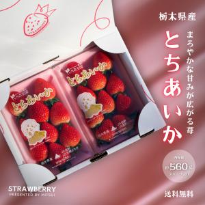 とちあいか 合計約560g 栃木県産 苺 冷蔵...の詳細画像5