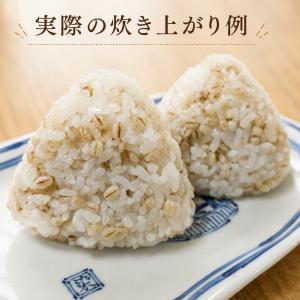 もち麦 国産 850g 雑穀米 保存チャック袋...の詳細画像2