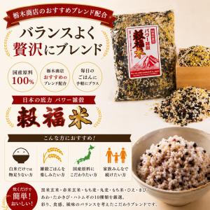 10種 パワー雑穀 穀福米 国産 260g 黒...の詳細画像2
