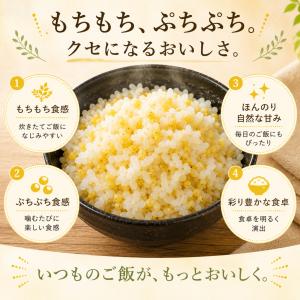 もちきび 国産 農薬栽培期間中不使用 180g...の詳細画像2