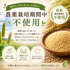 もちきび 国産 農薬栽培期間中不使用 180g...の詳細画像5