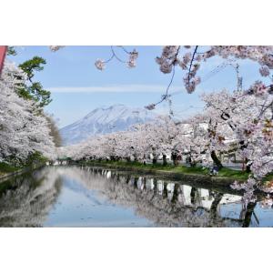 りんごジュース 青森 希望の雫品種ブレンド瓶 ...の詳細画像5