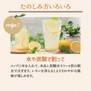 じゃばら はちみつ じゃばら 500ml 1本...の詳細画像5