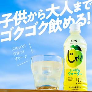 じゃばら ウォーター 510ml×24本 北山...の詳細画像2
