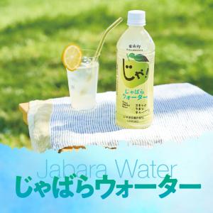 じゃばら ウォーター 510ml×24本 北山...の詳細画像3