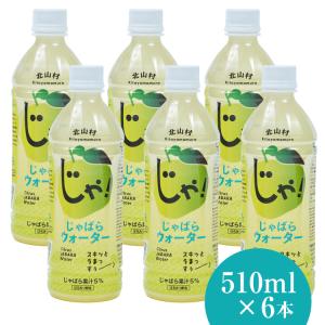 新じゃばらウォーター510ml 6本  じゃばら みかん 柑橘 ジュース ギフト プレゼント 健康 人気 セット｜jabarise