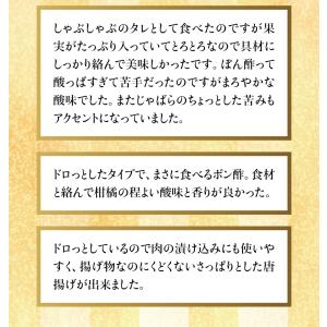 熟成 噂のどろぽん ぽん酢 ポン酢 万能 調味...の詳細画像4