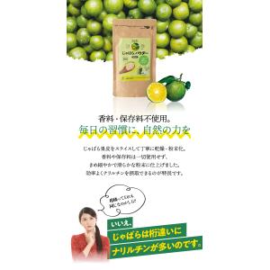じゃばらパウダー100g ジャバラ 邪払 柑橘...の詳細画像2