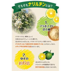 じゃばらパウダー100g ジャバラ 邪払 柑橘...の詳細画像3