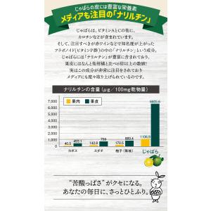 じゃばらパウダー100g ジャバラ 邪払 柑橘...の詳細画像4