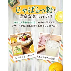 北山村の じゃばらっ粉 50g×3袋 パウダー...の詳細画像4