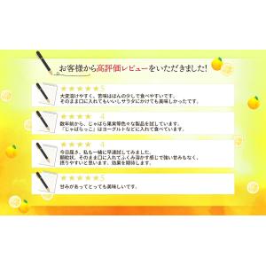 北山村の じゃばらっ粉 50g×3袋 パウダー...の詳細画像5