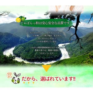 北山村の じゃばらっ粉 50g×5袋 パウダー...の詳細画像5