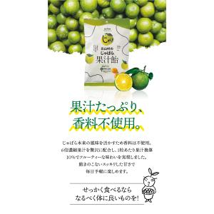 じゃばらあめ 北山村のじゃばら果汁飴 150g...の詳細画像2