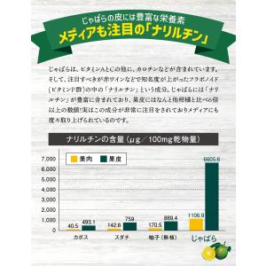 じゃばらあめ 北山村のじゃばら果汁飴 150g...の詳細画像4