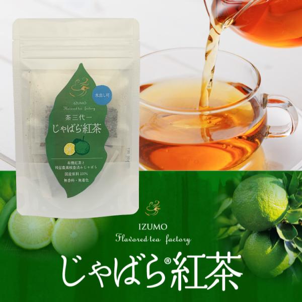 茶三代一 じゃばら紅茶 ティーバッグ 20g（2g×10袋） 無香料 無着色 国産原料100％