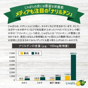 じゃばら ジャバラ 柑橘じゃばらサプリ 73g...の詳細画像5
