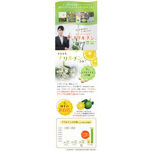 【20%OFF】じゃばら サプリ 93粒 5袋...の詳細画像3