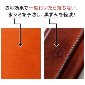 レザーケアキット 除菌 レザーマスター お手入...の詳細画像2