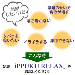 iPPUKU ノーニコチン茶葉スティック 禁煙...の詳細画像2