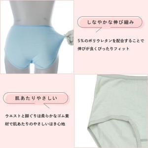 綿95% レギュラーショーツ 単品 8色 スタ...の詳細画像2