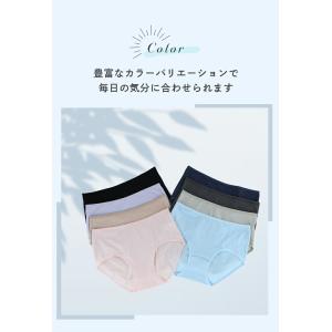 綿95% レギュラーショーツ 単品 8色 スタ...の詳細画像4