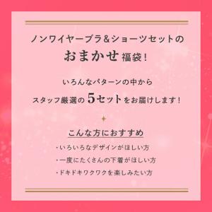 ブラジャー 福袋 ノンワイヤーブラ&ショーツ5...の詳細画像1