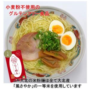 グルテンフリー米粉ラーメン（グルテンフリーの塩スープ付）（２食入り）米粉麺｜jadaihoku