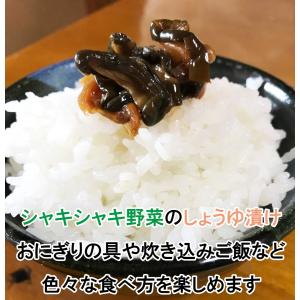 小谷漬 160gの詳細画像2