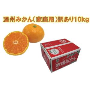 温州みかん (家庭用) 訳あり 約10kg JAえひめ南 産地より直送【2025年分販売終了】