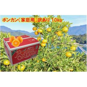 ポンカン（家庭用）訳あり 10kg JAえひめ南 産地より直送【2026年分販売終了】