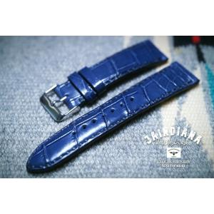 LOUIS VUITTON（ルイ・ヴィトン） エスカル用 純正 替えベルト R17764