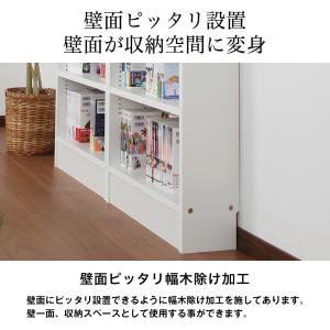 天井つっぱり本棚 愛書家 幅60cm 奥行17cm 対応天井高：180cm〜267cm