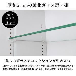 コレクションケース ワイド 開き戸 ロータイプ...の詳細画像3