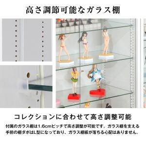 コレクションケース ワイド 開き戸 ロータイプ...の詳細画像5