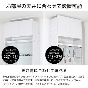 専用オプション品 JAJAN フィギュアラック...の詳細画像5