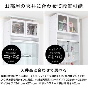 [上置きハイタイプ専用オプション] アクリル扉...の詳細画像5